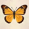 iheartmariposas
